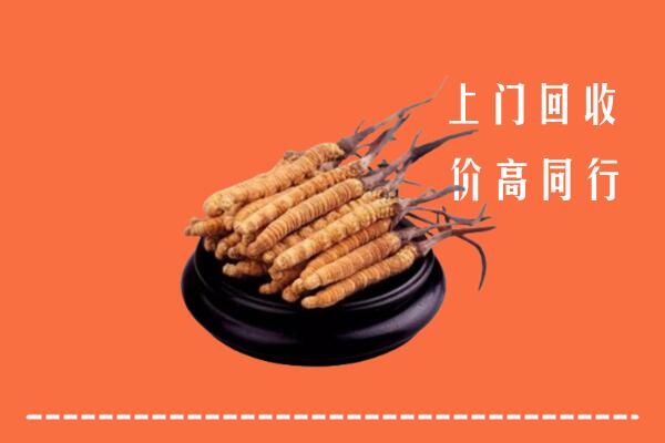 高价求购：达拉特旗回收散虫草