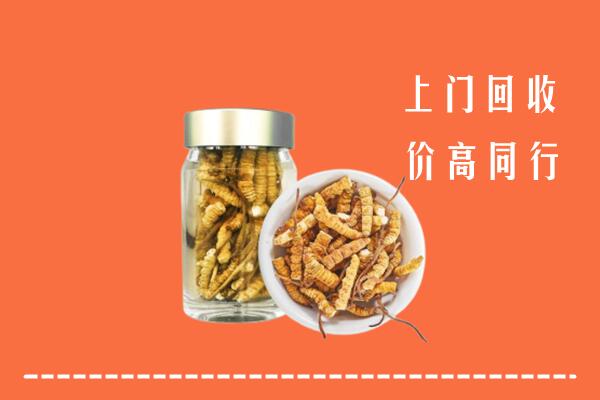 达拉特旗回收冬虫夏草